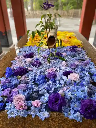 鶴岡八幡宮(神奈川県)