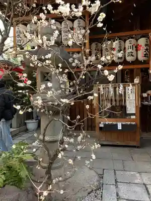 錦天満宮のその他建物