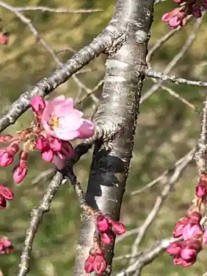 国宝 大法寺(長野県)