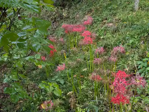 阿久津「田村神社」（郡山市阿久津町）旧社名：伊豆箱根三嶋三社(福島県)
