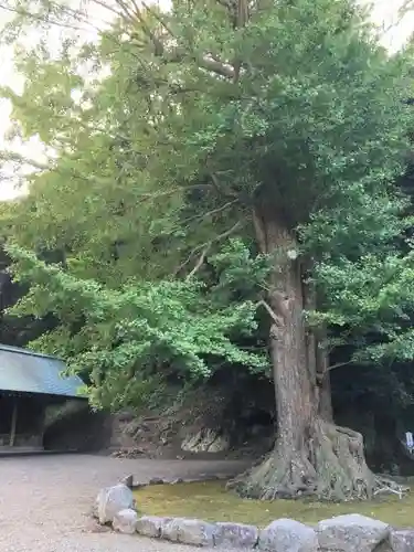 安房神社のその他建物