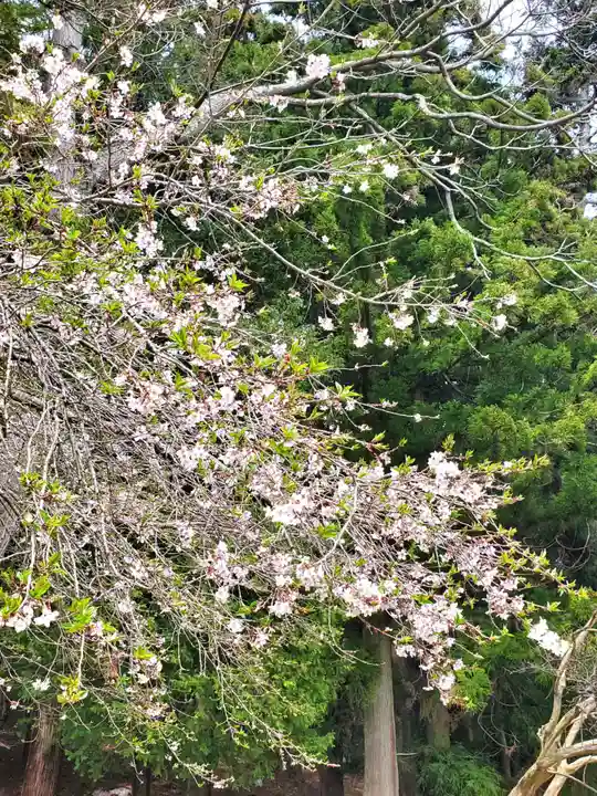 鹿島大神宮(福島県)