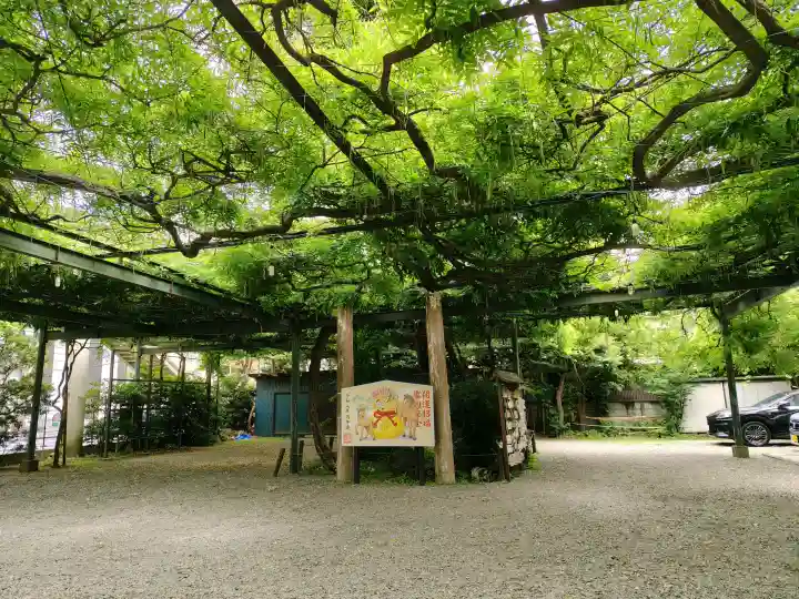 國領神社の{uncategorized: "未分類", other: "その他", undefined: "問題あり", building: "その他建物", grave: "お墓", sacred_gate: "鳥居", guardian: "狛犬", statue: "像", buddha: "仏像", history: "歴史", nature: "自然", garden: "庭園", animal: "動物", pagoda: "塔", temizu: "手水舎", mountain_gate: "山門・神門", sanctuary: "本殿・本堂", subordinate: "末社・摂社", art: "芸術", scenery: "景色", jizo: "地蔵", ema: "絵馬", goshuin: "御朱印", omikuji: "おみくじ", items: "授与品その他", amulet: "お守り", goshuincho: "御朱印帳", eats: "食事", festival: "お祭り", votive_dance: "神楽", shichigosan: "七五三参", wedding: "結婚式", experience: "体験その他", initially: "初詣", around: "周辺", anti_infection: "感染症対策"}