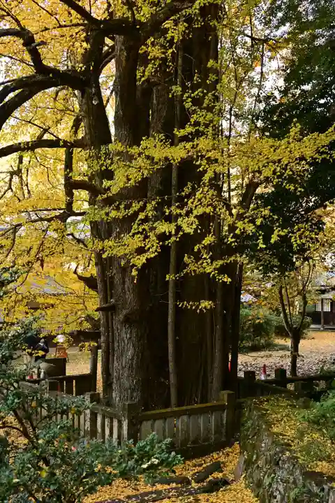 瑞応寺(愛媛県)