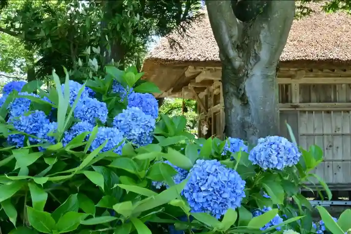 鞍掛神社の自然