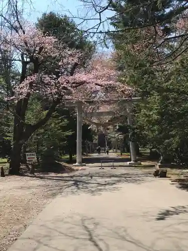 音更神社の自然