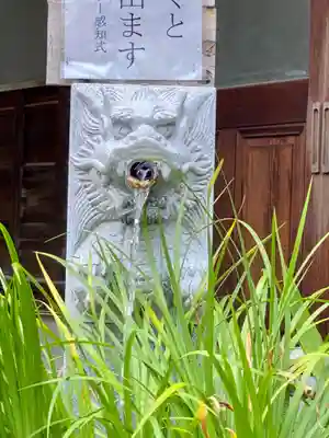 高知大神宮の手水舎