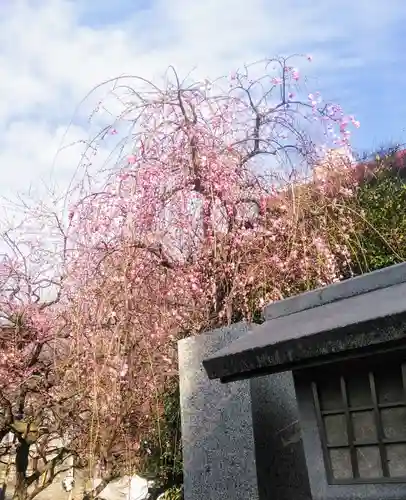 牛天神北野神社の自然