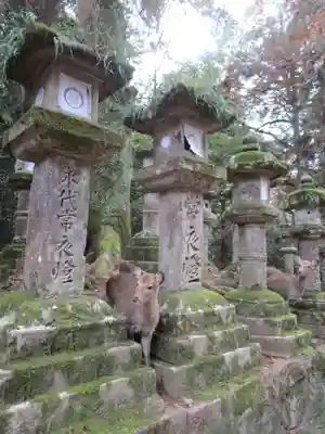 春日大社(奈良県)