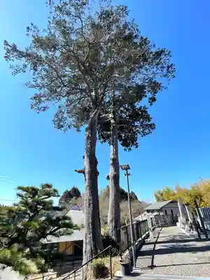 祐宝寺(滋賀県)