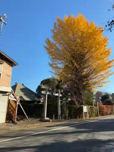 八幡神社(千葉県)
