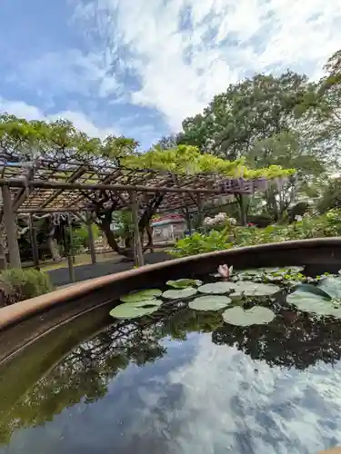 愛染院(東京都)