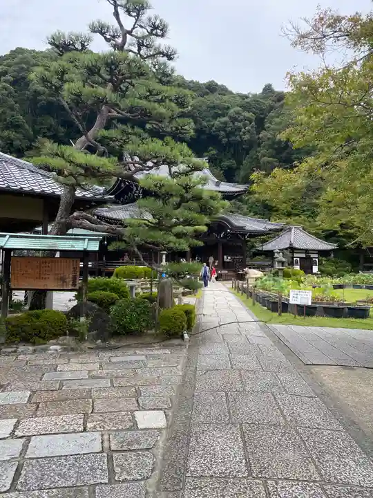三室戸寺(京都府)