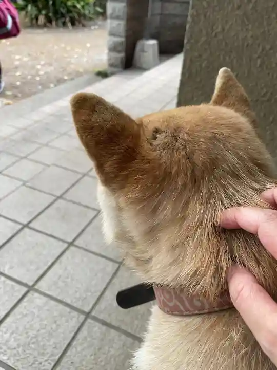 笠䅣稲荷神社(神奈川県)