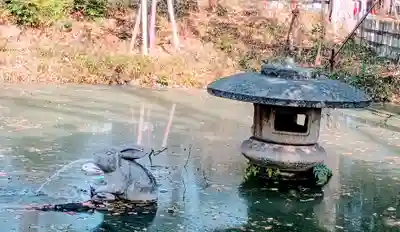 調神社(埼玉県)