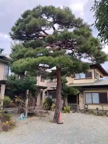 光円寺(神奈川県)