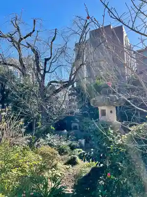天竜寺(東京都)