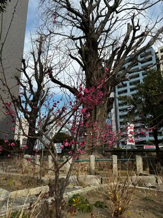 磐井神社の{uncategorized: "未分類", other: "その他", undefined: "問題あり", building: "その他建物", grave: "お墓", sacred_gate: "鳥居", guardian: "狛犬", statue: "像", buddha: "仏像", history: "歴史", nature: "自然", garden: "庭園", animal: "動物", pagoda: "塔", temizu: "手水舎", mountain_gate: "山門・神門", sanctuary: "本殿・本堂", subordinate: "末社・摂社", art: "芸術", scenery: "景色", jizo: "地蔵", ema: "絵馬", goshuin: "御朱印", omikuji: "おみくじ", items: "授与品その他", amulet: "お守り", goshuincho: "御朱印帳", eats: "食事", festival: "お祭り", votive_dance: "神楽", shichigosan: "七五三参", wedding: "結婚式", experience: "体験その他", initially: "初詣", around: "周辺", anti_infection: "感染症対策"}