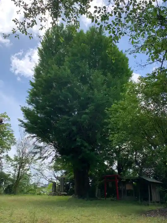 虚空蔵尊(千葉県)