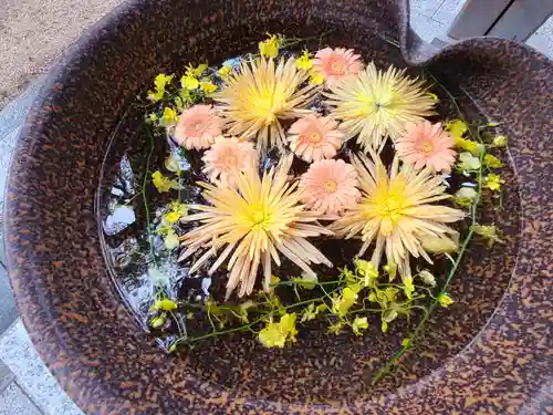 高宮八幡宮(福岡県)