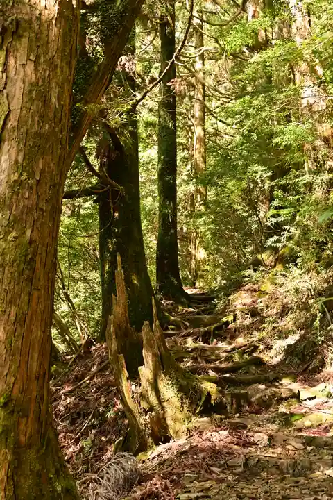 篠山神社(愛媛県)