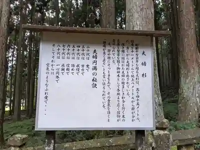 青玉神社(兵庫県)