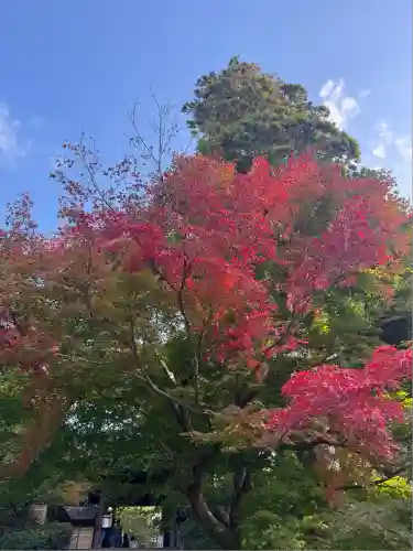 円覚寺(神奈川県)
