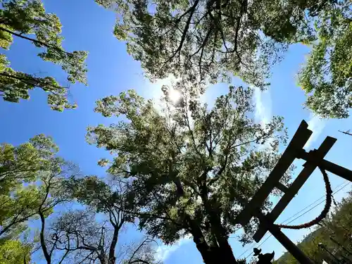 白鳥神社(長野県)