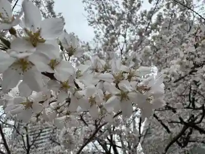 金神社(岐阜県)