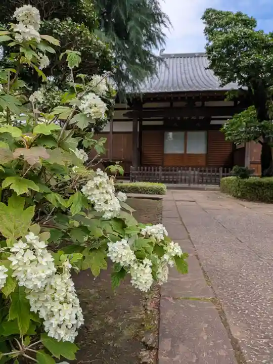西照寺(東京都)