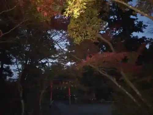 鍬山神社(京都府)