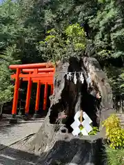 常磐神社(茨城県)