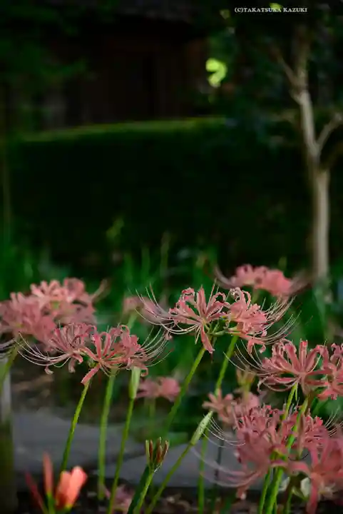 横浜 西方寺(神奈川県)