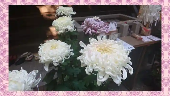 戸越八幡神社(東京都)