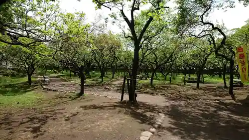 谷保天満宮の庭園