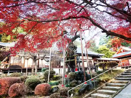 馬頭院(栃木県)