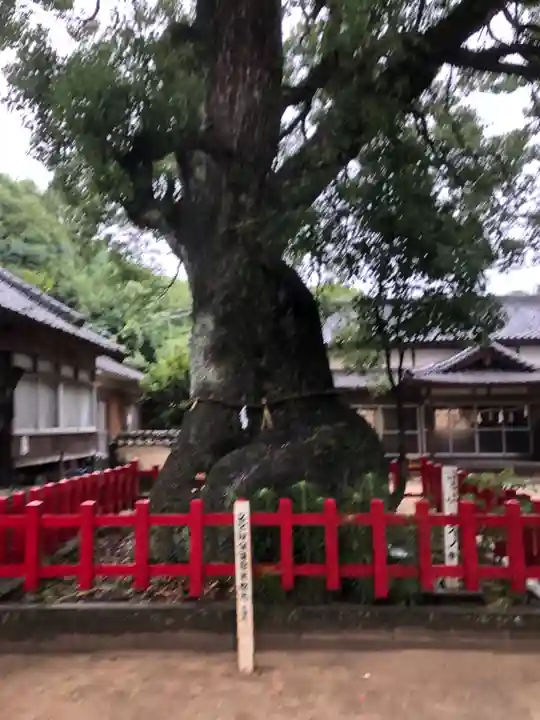 八幡奈多宮の自然