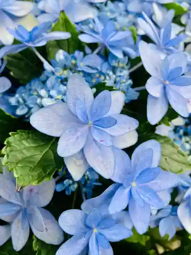 長谷寺(奈良県)