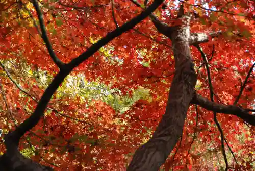 智光院(山口県)