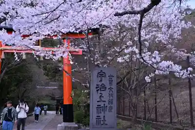宇治上神社(京都府)