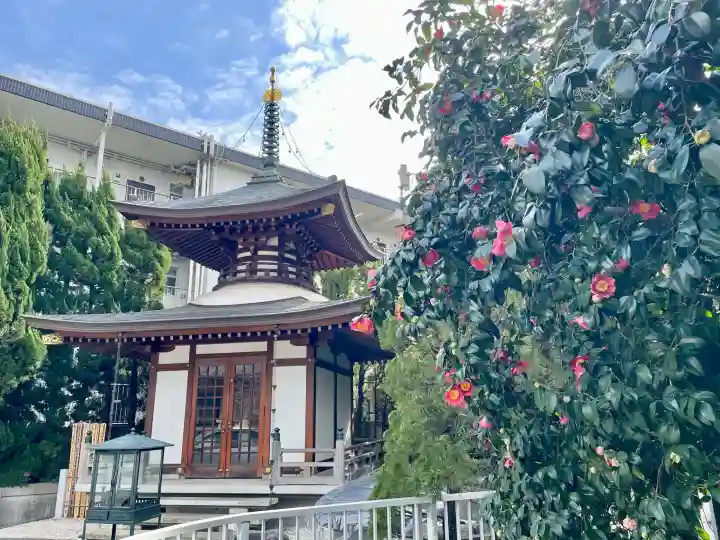 戒行寺の{uncategorized: "未分類", other: "その他", undefined: "問題あり", building: "その他建物", grave: "お墓", sacred_gate: "鳥居", guardian: "狛犬", statue: "像", buddha: "仏像", history: "歴史", nature: "自然", garden: "庭園", animal: "動物", pagoda: "塔", temizu: "手水舎", mountain_gate: "山門・神門", sanctuary: "本殿・本堂", subordinate: "末社・摂社", art: "芸術", scenery: "景色", jizo: "地蔵", ema: "絵馬", goshuin: "御朱印", omikuji: "おみくじ", items: "授与品その他", amulet: "お守り", goshuincho: "御朱印帳", eats: "食事", festival: "お祭り", votive_dance: "神楽", shichigosan: "七五三参", wedding: "結婚式", experience: "体験その他", initially: "初詣", around: "周辺", anti_infection: "感染症対策"}