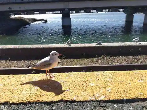 石雲寺(静岡県)