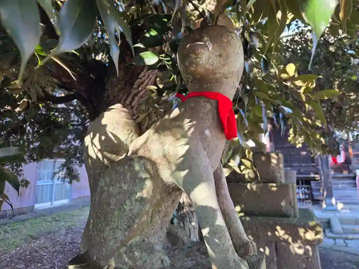 四郎介稲荷神社(茨城県)