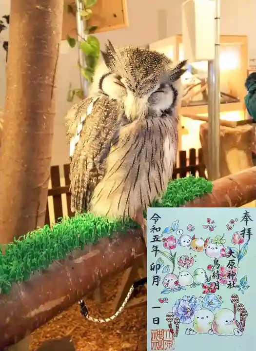 大宮・大原神社の御朱印