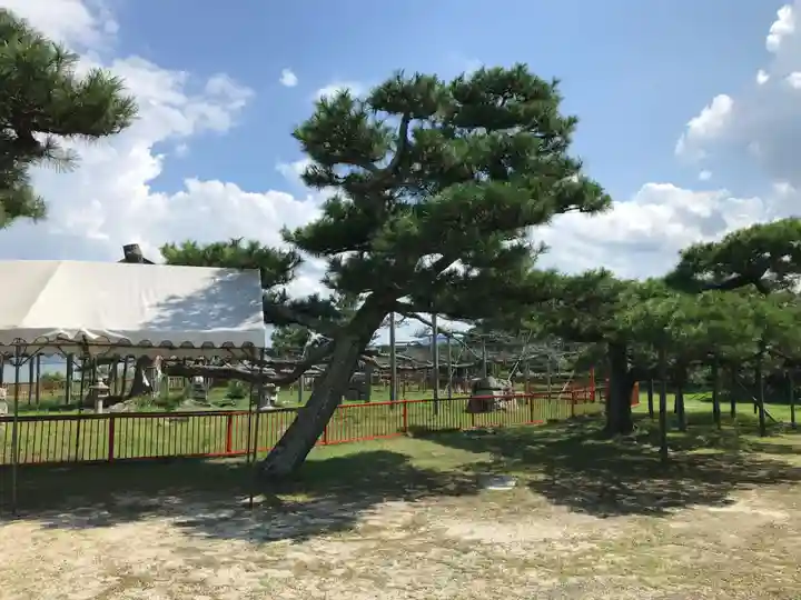 唐崎神社(滋賀県)