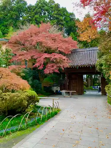 瑞鳳寺(宮城県)