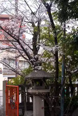 熊野神社(京都府)