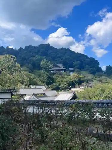 長谷寺(奈良県)
