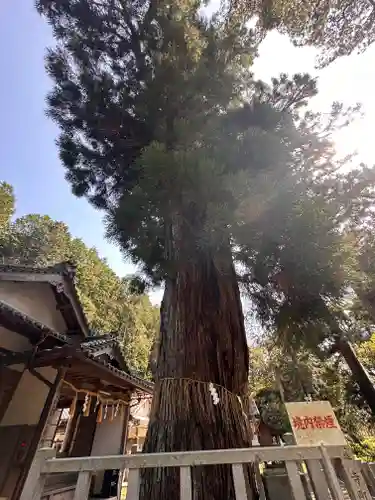 愛宕神社（阿多古神社）(京都府)