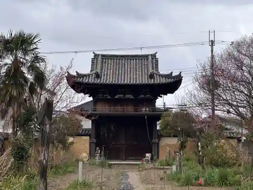 般若寺 ❁﻿コスモス寺❁(奈良県)
